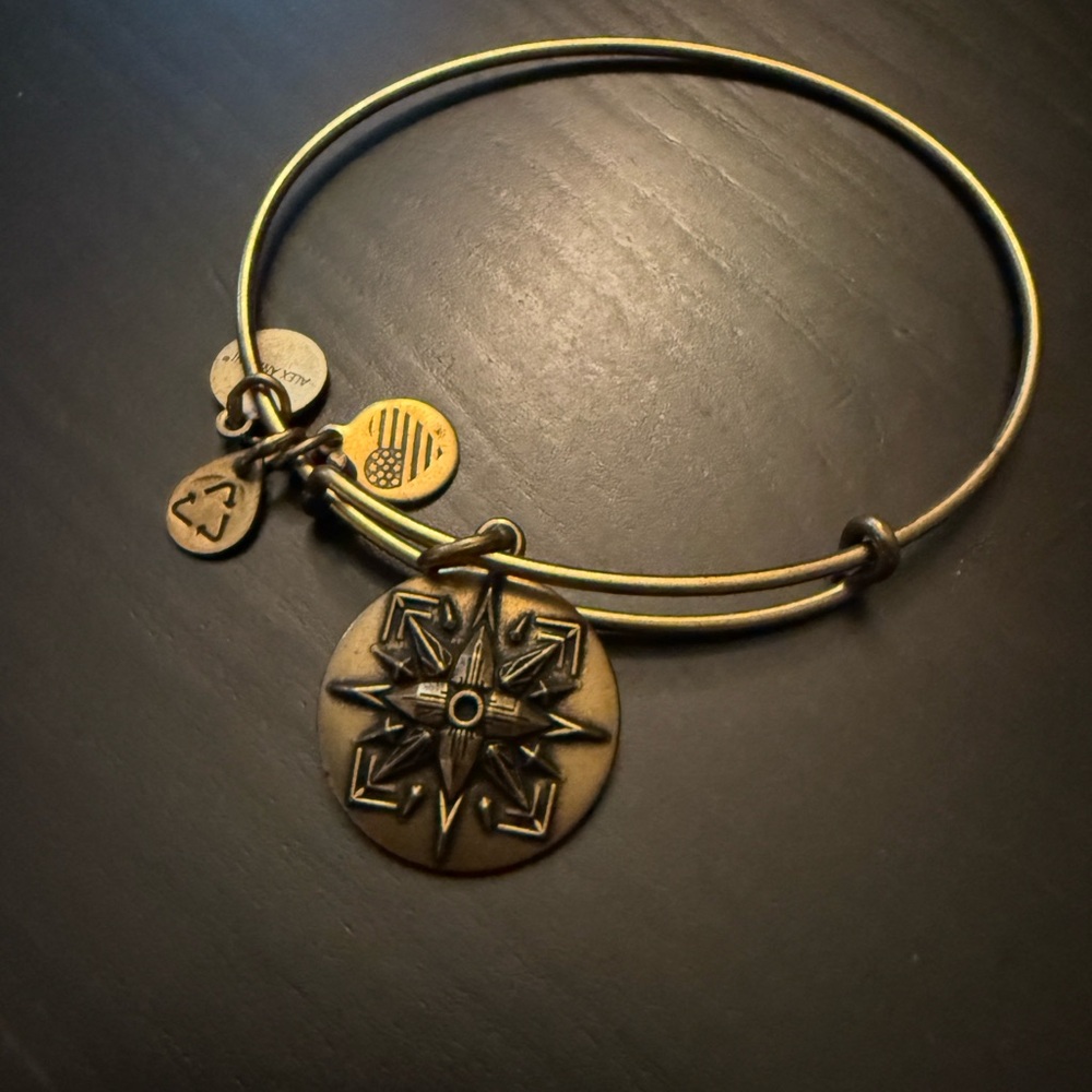 Alex and Ani Gold Compass Healing Love Expandable Charm Bangle